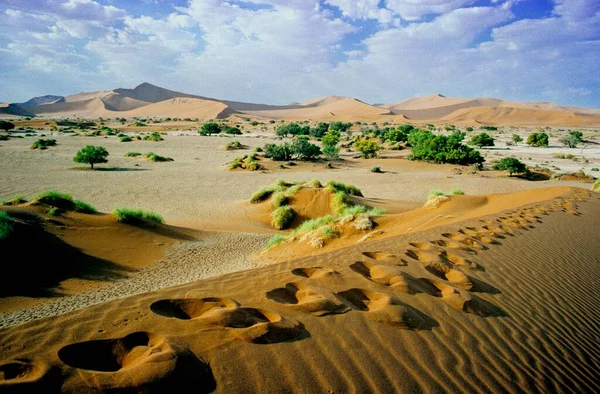 Tracks Sand Sossus Vlei Naukluft National Park Namib Naukluft National — Stock Photo, Image