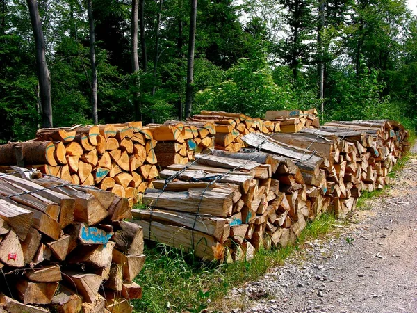 Hromada Dřeva Obchod Palivem — Stock fotografie