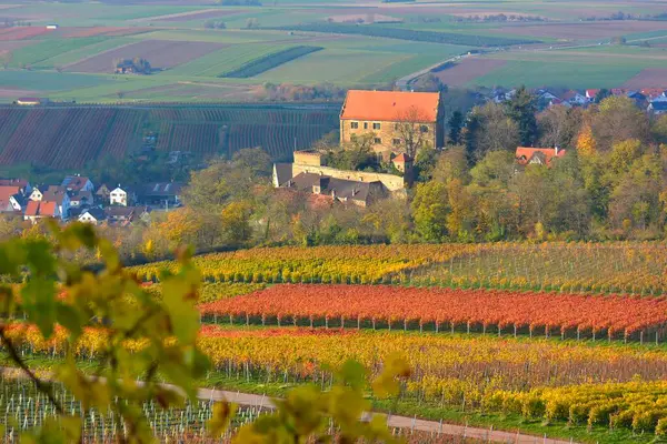 符腾堡 秋天在克莱布林附近的米谢尔贝格 Michaelsberg 的葡萄酒景观 着眼于克莱布林城堡 — 图库照片