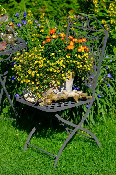 Chaise Jardin Avec Diverses Fleurs Été — Photo