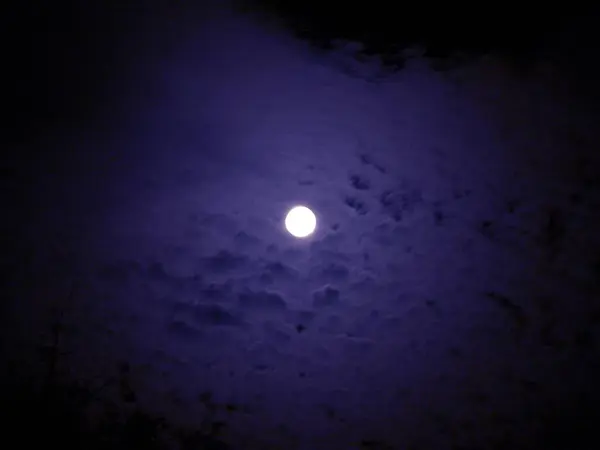 Geceleyin Dolunay — Stok fotoğraf