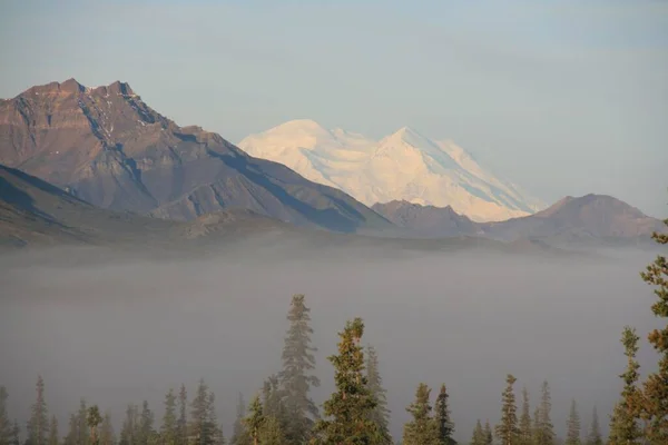 Ranní Mlha Národním Parku Denali Mount Mckinley Pozadí Aljaška Usa — Stock fotografie