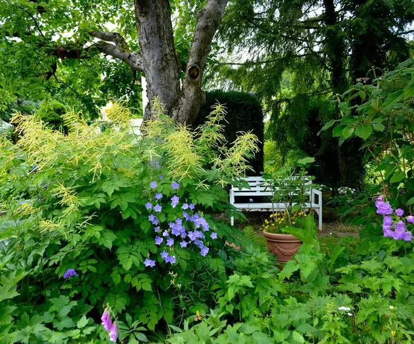 白色的花园长椅 多年生的花园 花园里的苹果树 — 图库照片