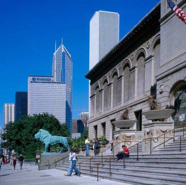 Сша Іллінойс Чикаго Польовий Музей Природної Історії Польовий Музей Природної — стокове фото