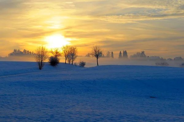 Sunrise Snow Maulbronn Morning Fog — Stock Photo, Image