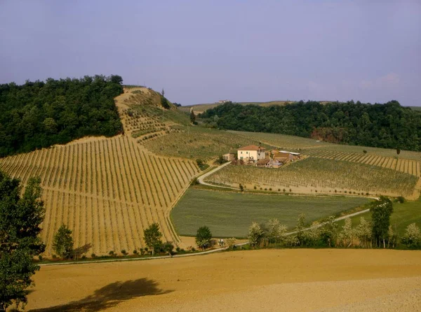 Italy Tuscany Landscape Chianti Area Vineyards Europe — Foto Stock
