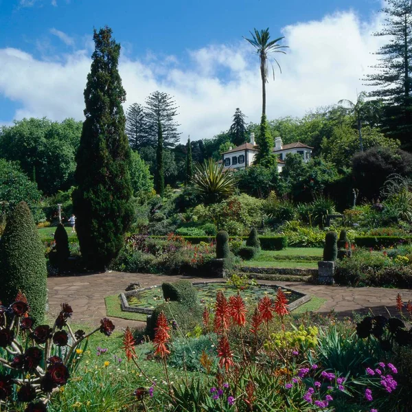 Blandy Garden Quinta Palheiro Ferreiro Este Funchal Madeira Portugal Europa —  Fotos de Stock