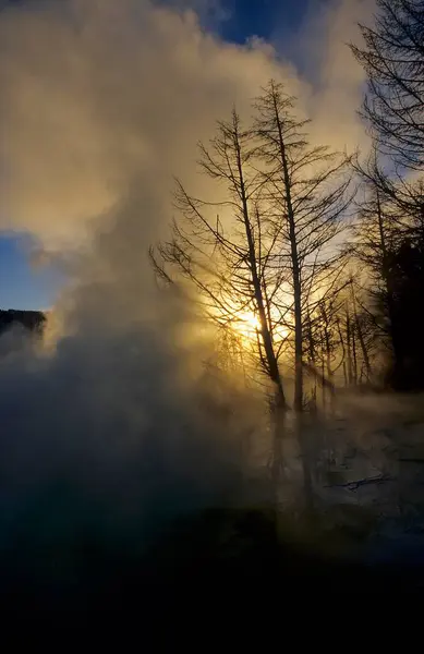 Mamut Hot Springs Yellowstone Usa — Zdjęcie stockowe