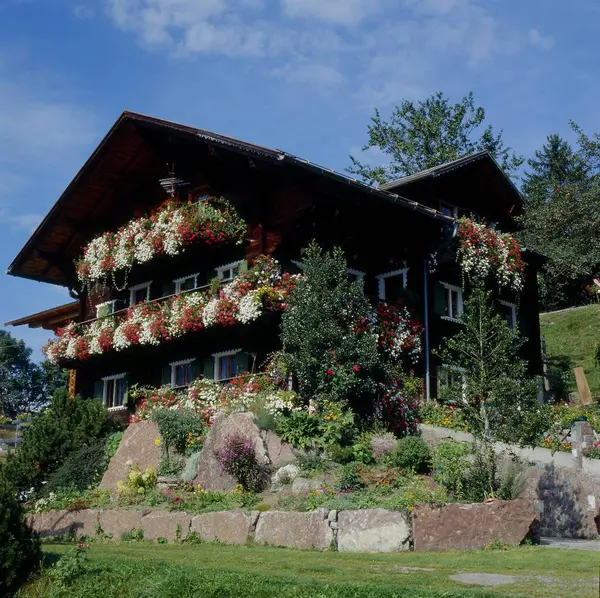 Rumah Pertanian Dengan Bunga Bartholomberg Dekat Schruns Montafon Austria Vorarlberg — Stok Foto