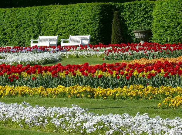 Blhendes Barock Ludwigsburg Jaro Záhony Tulipánové Květy Bílá Dřevěná Lavička — Stock fotografie
