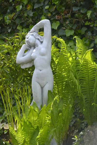 Trädgårdsfigur Naken Kvinna Mellan Ormbunkar Trädgården — Stockfoto