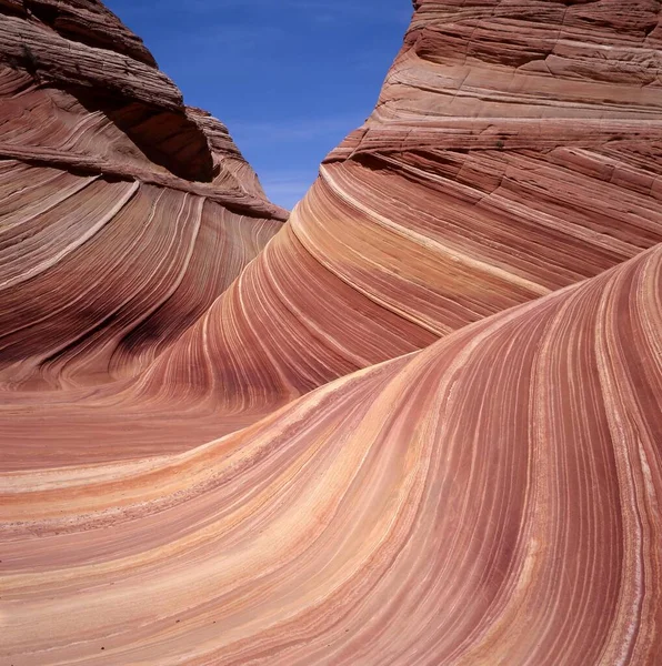 Die Welle Coyote Butte North Vermillion Cliffs Wilderness Arizona Usa — Stock Photo, Image