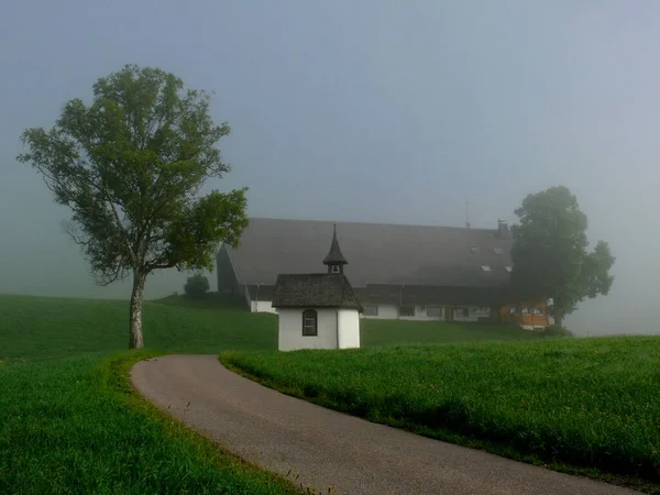 Schwarzwaldhofgut在晨雾中带着小礼拜堂和树 靠近提西 黑森林 Wuerttembfrg — 图库照片