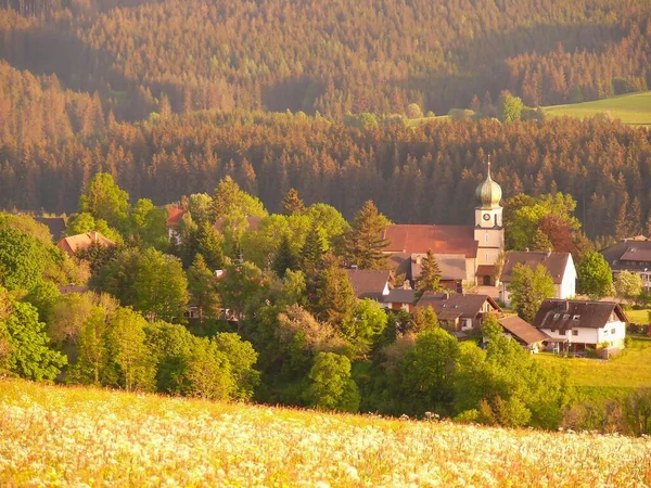 Solnedgång Över Lenzkirch Nära Titisee Schwarzwald Baden Wrttemberg Tyskland Europa — Stockfoto