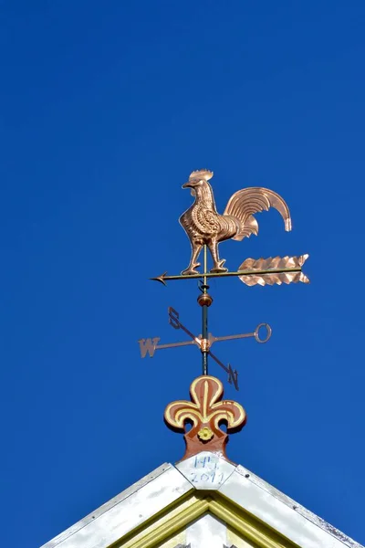 屋顶上的铜片风信子 — 图库照片