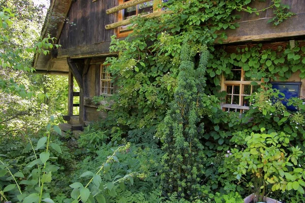 在瓦尔达乌 蒂西附近 黑森林 巴德的农舍经过了大量的美化 — 图库照片