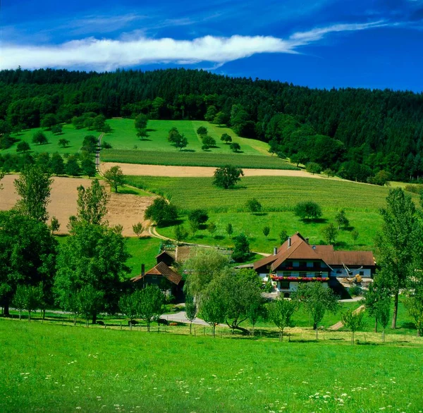 Farmy Pobliżu Biberach Czarny Las Badenia Wirtembergia Niemcy Europa — Zdjęcie stockowe