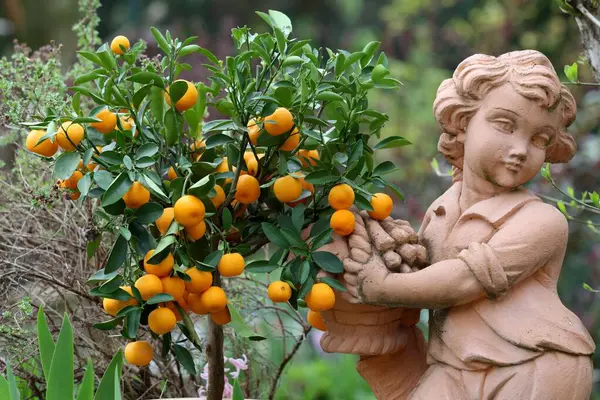 Dwarf Oranges Garden Figure — Stock Photo, Image