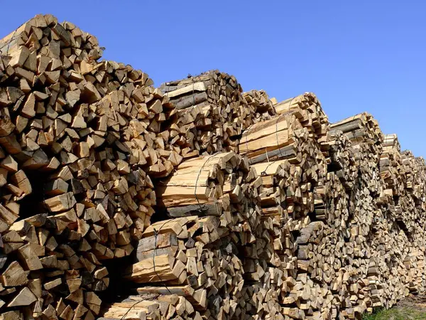 Yakacak Odun Deposu Odun Deposu — Stok fotoğraf