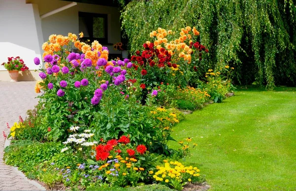 Casa Floresta Negra Com Jardim Flores Verão Flores Verão Diferentes — Fotografia de Stock