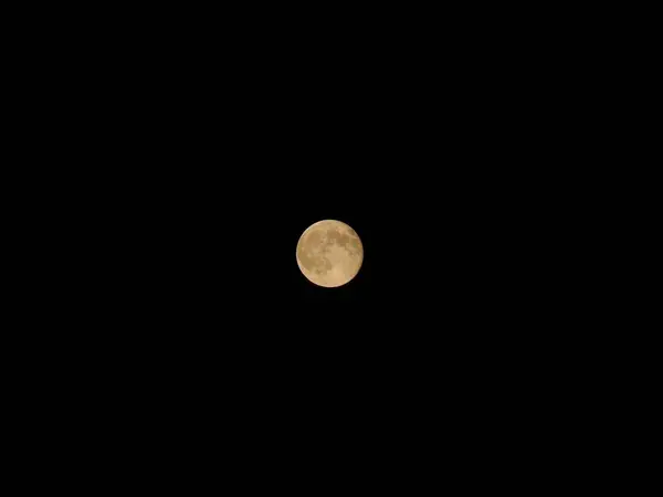 晚上满月 — 图库照片