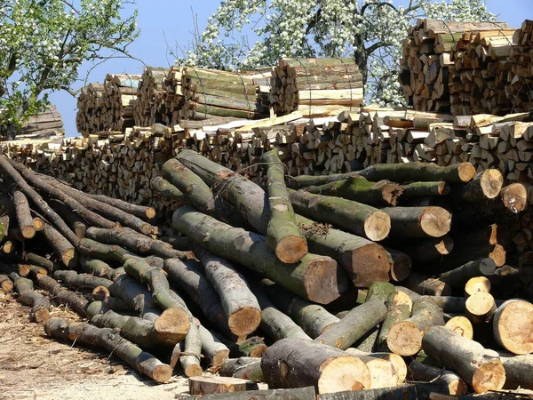 Brennholzlager Gestapeltes Brennholzlager — Stockfoto