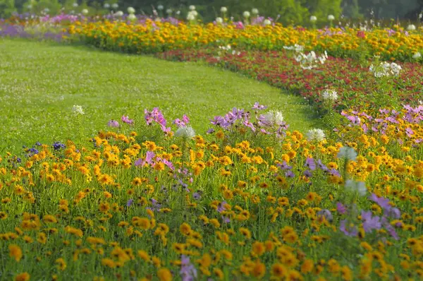 Штутгарт Killesberg Летние Цветы Кровати — стоковое фото