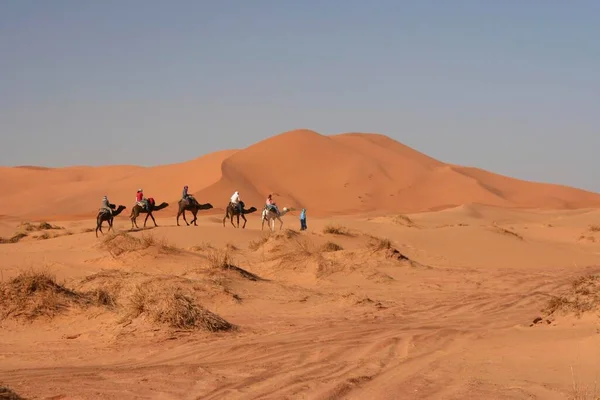 Turistická Karavana Pohybuje Písečnou Pouští Erg Chebbi Maroko Afrika — Stock fotografie