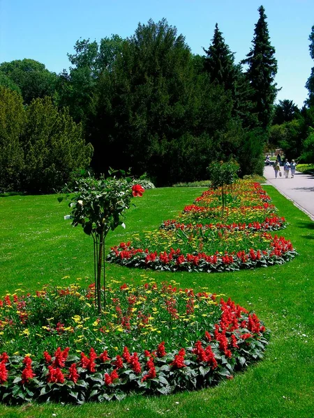 Colored Flowerbeds Zoological Town Garden Karlsruhe Baden Wrttemberg Germany Colored — Stock Photo, Image