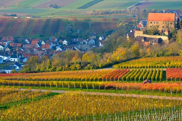 Baden Wrttemberg Wine Landscape Autumn Michaelsberg Cleebronn View Cleebronn Castle — Stock Photo, Image