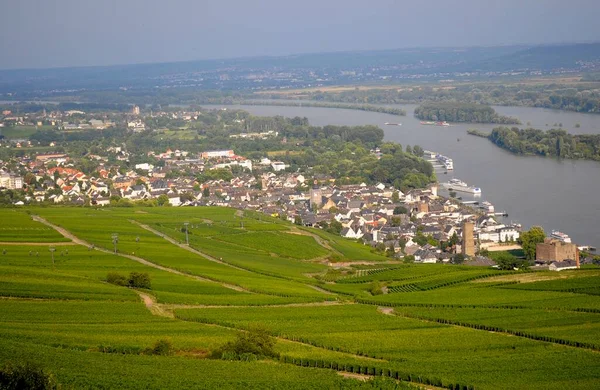 Rdesheim Rhein Niederwald Monument Unesco Werelderfgoed Bovenvallei Van Middenrijn Rijnwacht — Stockfoto