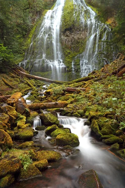 Proxy Falls Schwestern Wilderness Usa North America — 图库照片