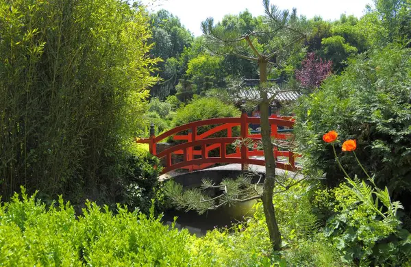 Ogród Azjatycki Mnzesheim Kraichgau Ogród Japoński Most Łukowy Czerwone Poręcze — Zdjęcie stockowe