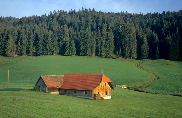 Hembygd Övre Schwarzwald — Stockfoto
