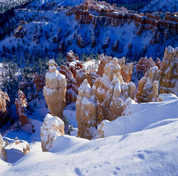 Formações Arenito Hoodoos Neve Bryce Canyon National Park Utah Bryce — Fotografia de Stock