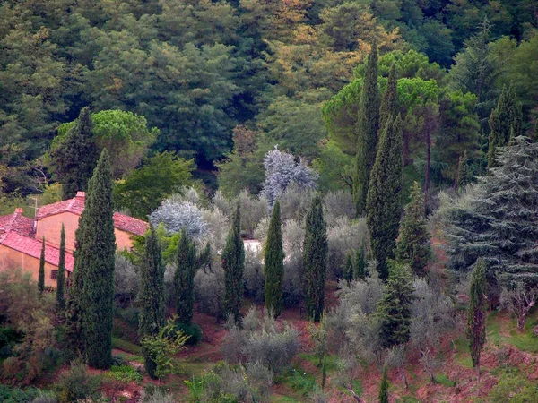 意大利 欧洲Montecatini Terme附近的托斯卡纳 — 图库照片