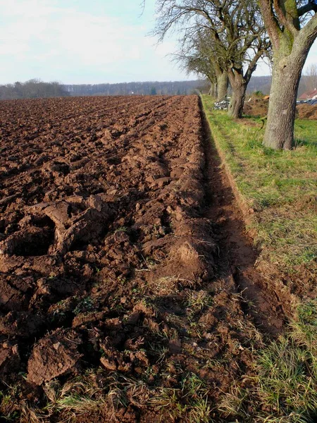 Ploughed Field Furrows Winter — Stock Photo, Image