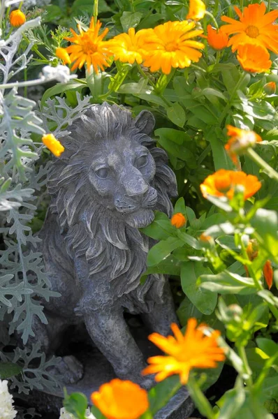 Garden figure : Lion among marigolds