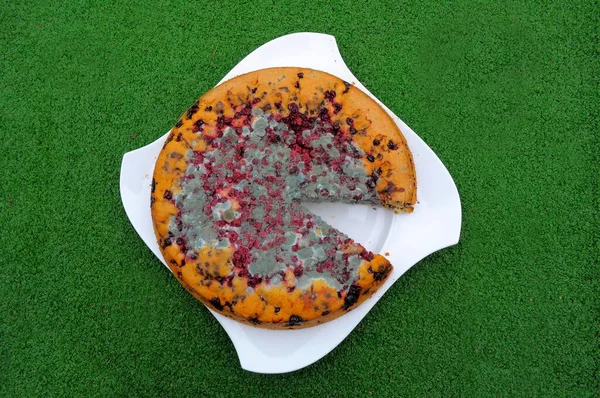 Schimmel Beschimmelde Johanissberry Cake Bedorven Fruit Cake Met Schimmel — Stockfoto