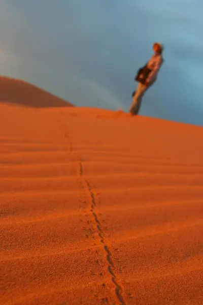 Zvířecí Stopy Turistické Stezky Písku Erg Chebbi Sahara Maroko — Stock fotografie