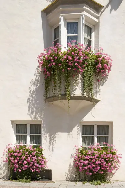 Bay window with petunias, residential house