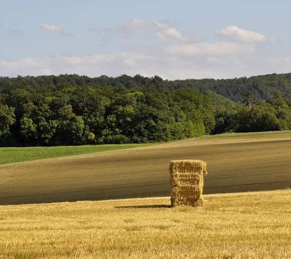 Strohballen Auf Einem Getreidefeld Tag Erntekonzept — Stockfoto