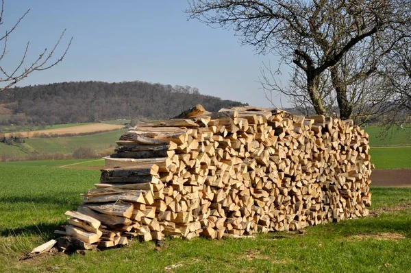 Firewood Pile Meadow Plot — Stock Photo, Image