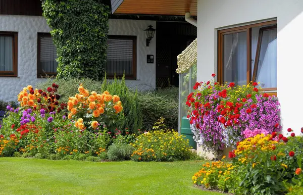 Baden Wrttemberg Fekete Erdő Ház Virágoskerttel Nyáron Különböző Nyári Virágok — Stock Fotó