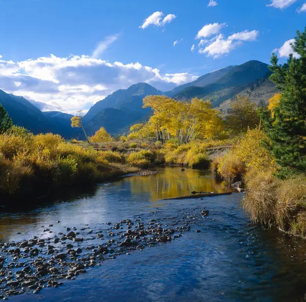 Usa Rocky Mountain National Park Fall River Aspen Med Höstfärger — Stockfoto