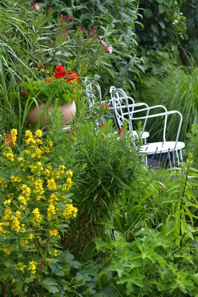 Sedile Giardino Con Sedia — Foto Stock
