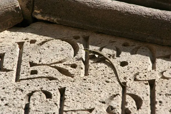 一只小蜥蜴爬过了位于亚美尼亚塔特夫修道院的一座碑文 — 图库照片