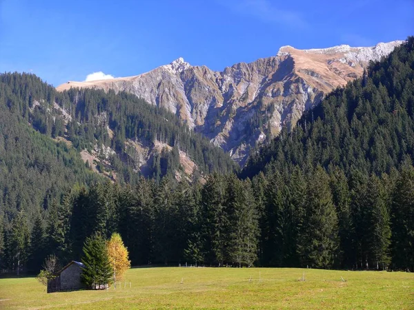 Tannheimer Tal Austria Rifugio Con Gruppo Alberi Autunno — Foto Stock
