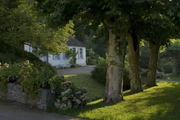 王子营的Idyllic房子 有平面树 — 图库照片