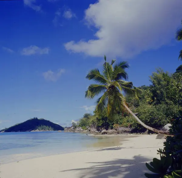 Святковий Настрій Піщаному Пляжі Сейшельських Островах — стокове фото